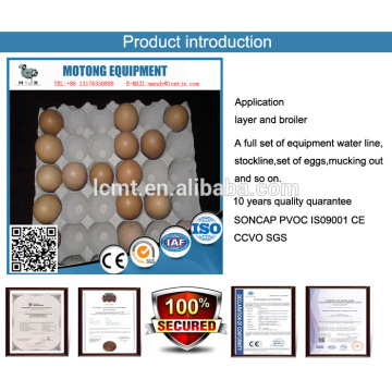 Alibaba recommend eggs carton supporting manufacturers